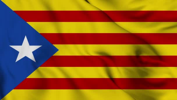 Flag Catalonia High Quality Resolution — Vídeo de Stock