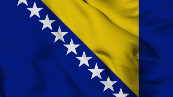 Vlag Van Bosnië Herzegovina Hoge Kwaliteit Resolutie — Stockvideo