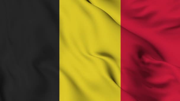 Flag Belgium High Quality Resolution — Stockvideo