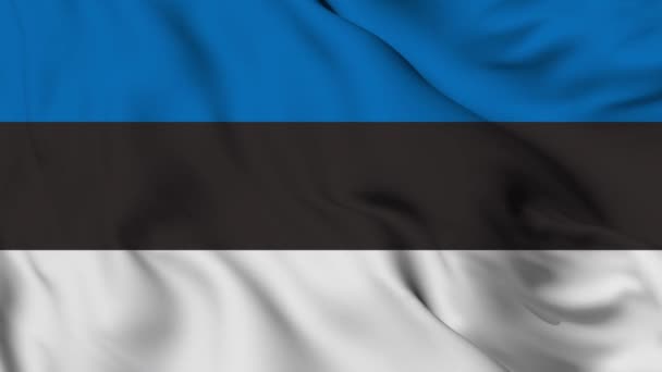 Flagge Estlands Hohe Auflösung — Stockvideo