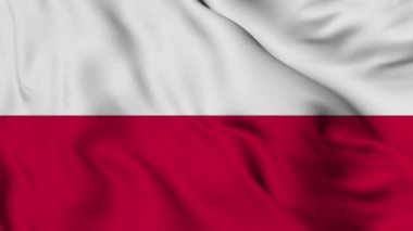 Flag of Poland. High quality 4K resolution