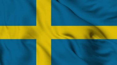 Flag of Sweden. High quality 4K resolution