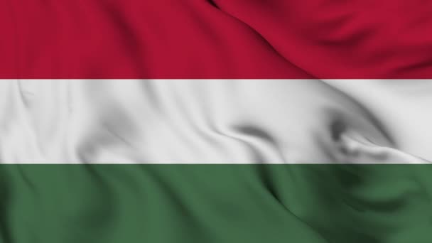 Bandeira Hungria Resolução Alta Qualidade — Vídeo de Stock