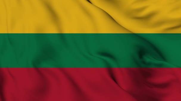 Flag Lithuania High Quality Resolution — Stock videók