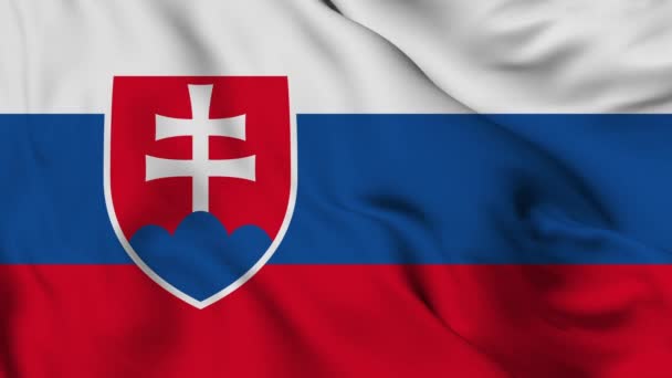 Bandera Eslovaquia Resolución Alta Calidad — Vídeos de Stock