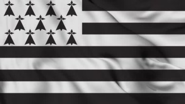 Flag of Brittany. High quality 4K resolution