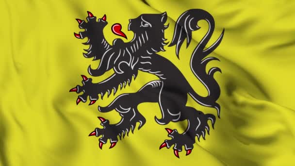 Flag Flanders High Quality Resolution — стоковое видео