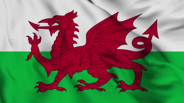 Flag Wales High Quality Resolution — Vídeo de stock