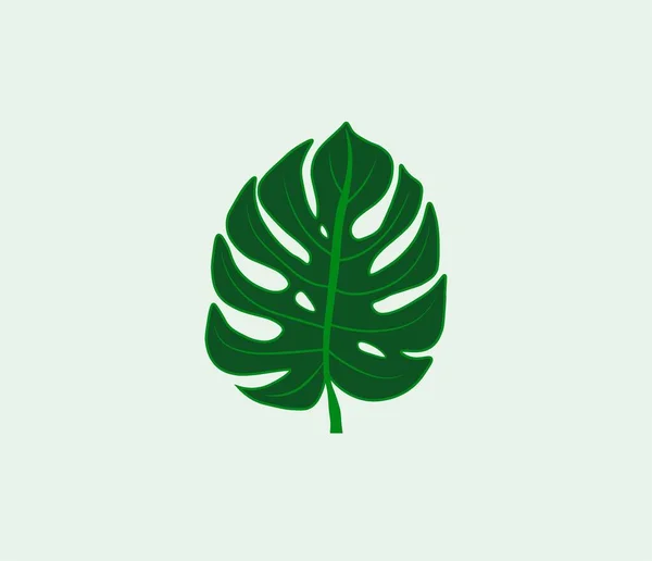 Beautiful Monstera Leaf Template Fully Editable Template — Stock Vector