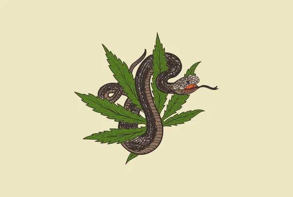 Retro Vintage Cannabis Marijuana Leaf Cobra Viper Mamba Snake Tattoo — Stok Vektör