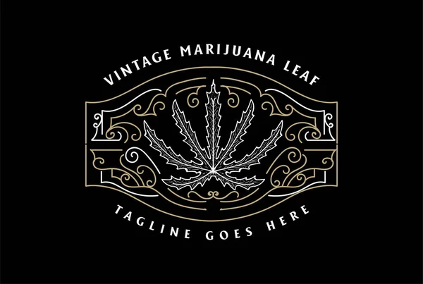 Vintage Retro Marijuana Cannabis Leaf Ornament Hemp Cbd Oil Badge — Stok Vektör