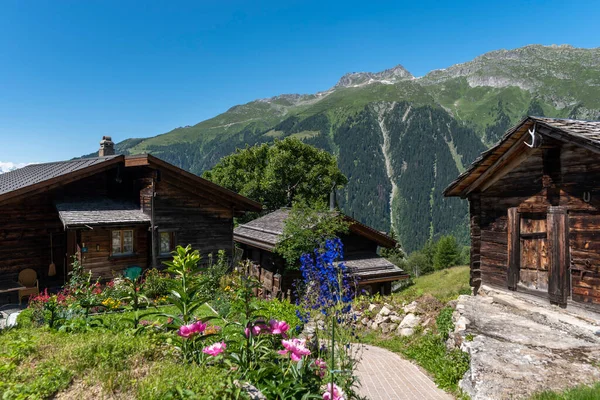 Paisagem Urbana Bellwald Com Casas Madeira Valais Montanhas Weisshorngruppe Eggishorn — Fotografia de Stock