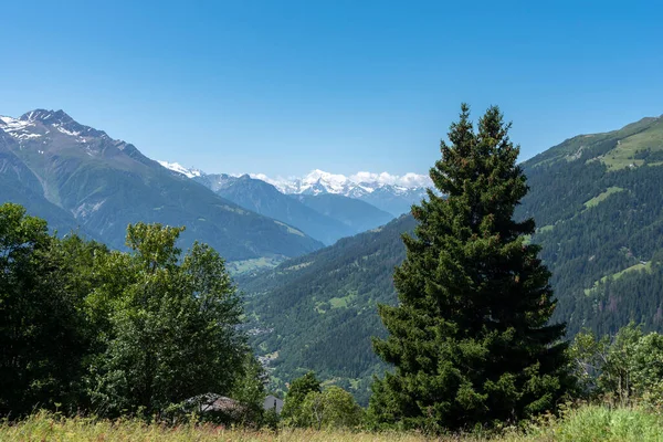 背景にWeisshornグループとベルヴァルトによる風景のパノラマ ベルヴァルト Bellwald スイスのヴァレー アルプスの村 — ストック写真
