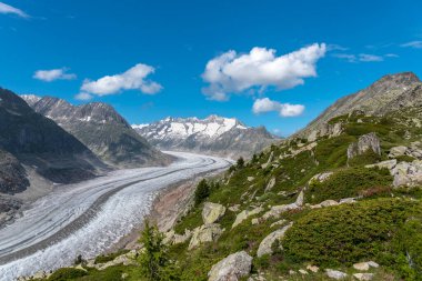 Aletsch Buzulu Dünya Mirası Bölgesi ile Riederalp köyü yakınlarındaki manzara
