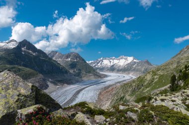Aletsch Buzulu Dünya Mirası Bölgesi ile Riederalp köyü yakınlarındaki manzara