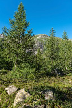 Gletsch köyünün yakınındaki Rhone Vadisi 'nin manzarası. Arka planda İsviçre 'nin Valais kentindeki Oberwald yakınlarında bulunan Rhone Buzulu kütlesi