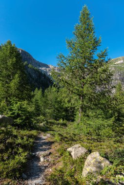 Gletsch köyünün yakınındaki Rhone Vadisi 'nin manzarası. Arka planda İsviçre 'nin Valais kentindeki Oberwald yakınlarında bulunan Rhone Buzulu kütlesi