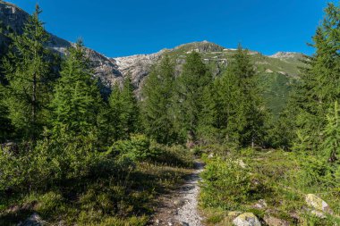 Gletsch köyünün yakınındaki Rhone Vadisi 'nin manzarası. Arka planda İsviçre 'nin Valais kentindeki Oberwald yakınlarında bulunan Rhone Buzulu kütlesi