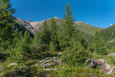 Gletsch köyünün yakınındaki Rhone Vadisi 'nin manzarası. Arka planda İsviçre 'nin Valais kentindeki Oberwald yakınlarında bulunan Rhone Buzulu kütlesi