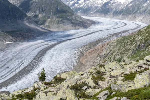 Krajina Blízkosti Obce Riederalp Ledovcem Aletsch — Stock fotografie