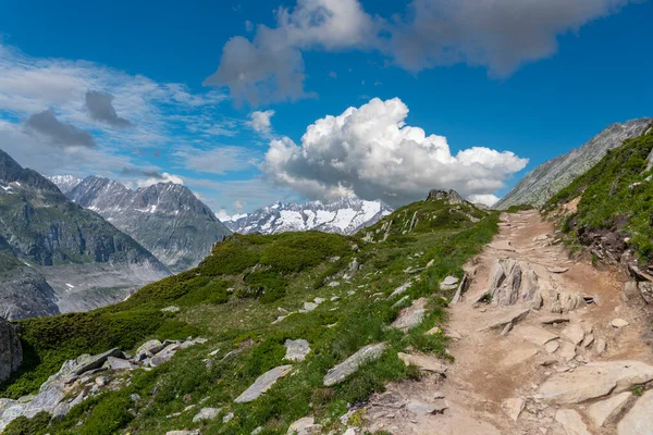 Krajina Podél Panoramatické Turistické Stezky Ledovce Aletsch Mezi Pohořím Bettmerhorn — Stock fotografie
