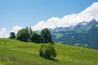 İsviçre 'deki Bernese Oberland' da Aeschi bei Spiez yakınlarındaki manzara.