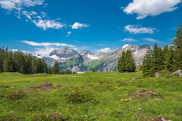 Landschap Tussen Bergstation Oeschinen Oeschinensee Met Links Toppen Van Grote — Stockfoto