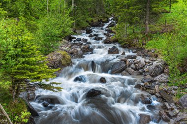 İsviçre 'nin Bernese Oberland' inde Kandersteg yakınlarında Alpbach nehrinin vahşi bir parçası.
