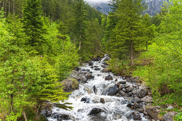 Wild Part Alpbach River Close Kandersteg Bernese Oberland Switzerland — Stock Photo, Image