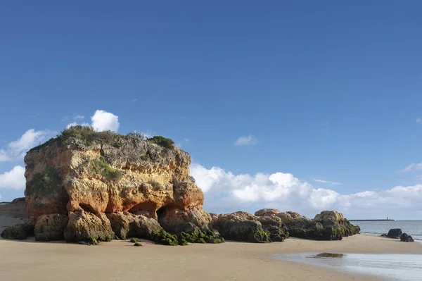 Єдиний Стоячий Камінь Березі Річки Прая Гранде Феррагудо Алгарве Португалія — стокове фото