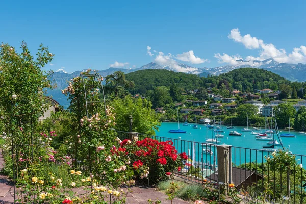 Spiez Suíça Junho 2019 Boathouse Lago Thun Spiez Oberlândia Bernesa — Fotografia de Stock