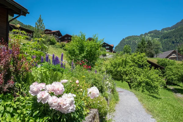 Townscape Lauterbrunnen Med Vacker Blomsterträdgård Och Fruktträdgårdar Bernese Oberland Schweiz — Stockfoto