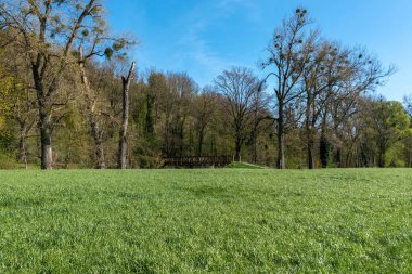 Doğadaki manzara Roter Rain 'i Enz nehrinin yakınındaki Muhlhausen nehri üzerindeki köprüyle rezerve eder. Enz 'deki Muhlhausen, Almanya' nın Baden-Wurttemberg kentindeki Kraichgau 'da bulunmaktadır.