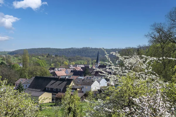 ブドウ畑の道EnzfelsenからEnzのMuhlhausenの村の景色 前景の果実の木の開花で EnzのMuhlhausenはドイツのバーデン ヴュルテンベルク州のKraichgauに位置しています — ストック写真