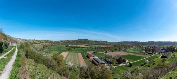 Vineyards Enz Sloop Muhlhausen Enz Background Rock Gardens Muhlhausen Enz — Stockfoto