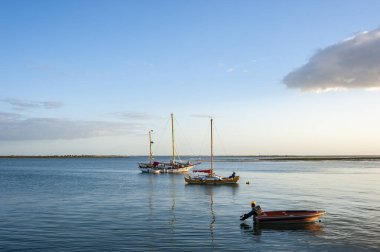 Portekiz 'deki Algarve' de Olhao 'nun önündeki limana demirlemiş tekneler.