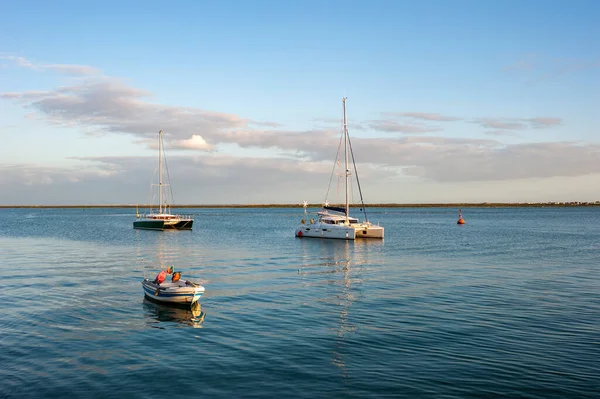Portekiz 'deki Algarve' de Olhao 'nun önündeki limana demirlemiş tekneler.
