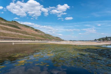 Rhine near Bingen in Rhineland-Palatinate in Germany. Extreme low water in the drought summer of 2022