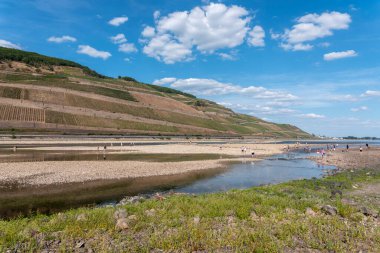 Bingen am Rhein, Germany - August 21, 2022: Rhine near Bingen in Rhineland-Palatinate in Germany. Extreme low water in the drought summer of 2022