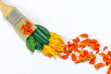 Beyaz arka planda boya fırçası ve çiçek yaprakları. Düz yatış, üst görünüm