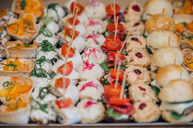 Aperatifli tepsi, mini sandviçler. Bir sürü küçük lokma sandviç aperatifleri. Tatil atıştırmalıkları. Tapas. Parti atıştırmalıkları, bira atıştırmalıkları, yan manzara..