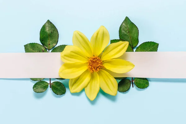 Banner Ecológico Con Hojas Verdes Frescas Sobre Fondo Azul Blanco — Foto de Stock