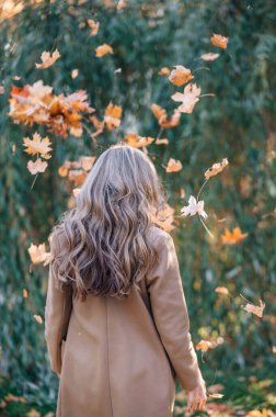 Havaya yapraklar saçan genç bir kadının arka plan görüntüsü, sonbahar doğası. İnsanlar, yaşam tarzı, seyahat ve tatil