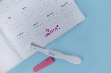 Takvim ve mavi arkaplan üzerine yumurtlama testi