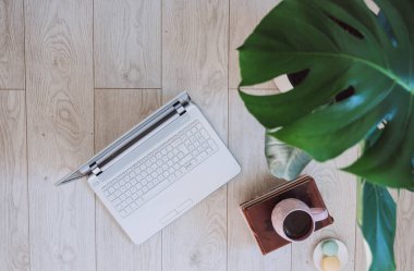 Laptop, kahve fincanı ve ahşap arka planda bitki. Düz görünüm kopyalama alanı yatıyordu. Ev kavramından çalış