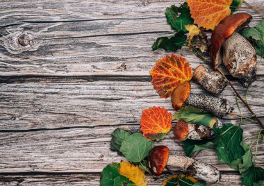 Taze portakal, ahşap bir masada izole edilmiş mantarlar. Ahşap arka planda turuncu başlık Boletus, kavak mantarı ailesi.