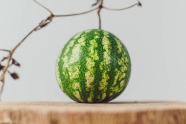 Kırsal ahşap arka planda organik mini karpuz.