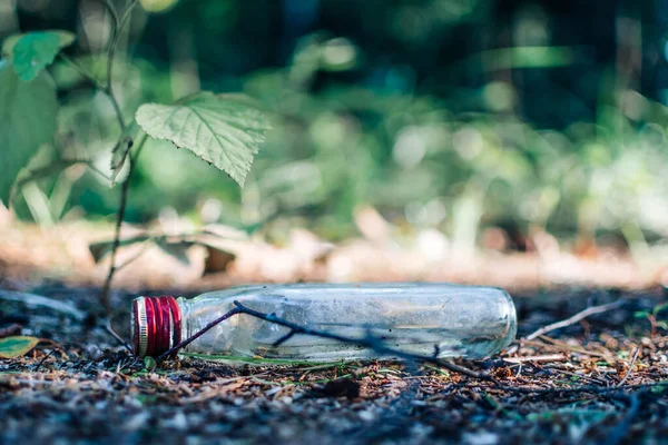 Vuilnis Het Bos Glazen Fles Het Bos Tussen Takken Het — Stockfoto