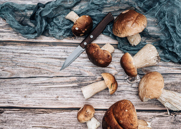 Boletus mushrooms over wooden background. Autumn Cep Mushrooms. Boletus edulis over Wooden Background. Cooking delicious organic mushroom. Gourmet food. Top view flat lay