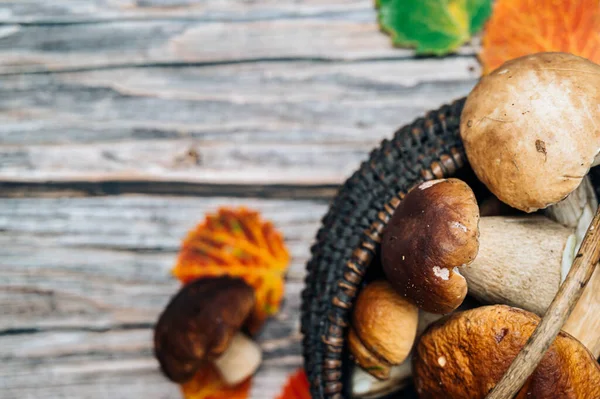 Waldpilze Korb Über Rustikalem Holztisch Steinpilze Kopierraum — Stockfoto